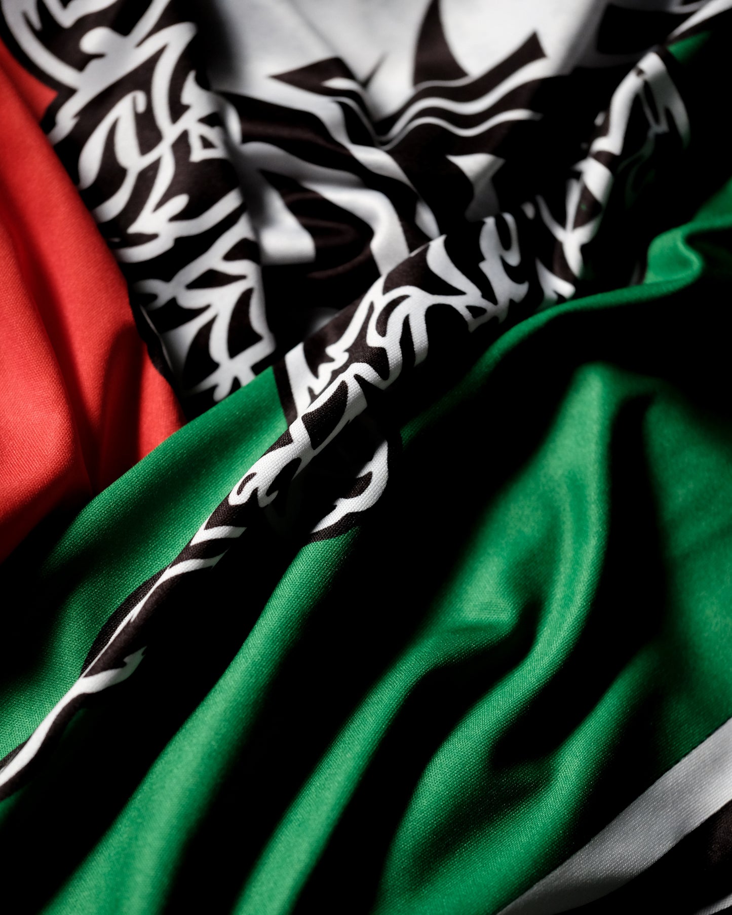 Team Mexico Long Sleeve