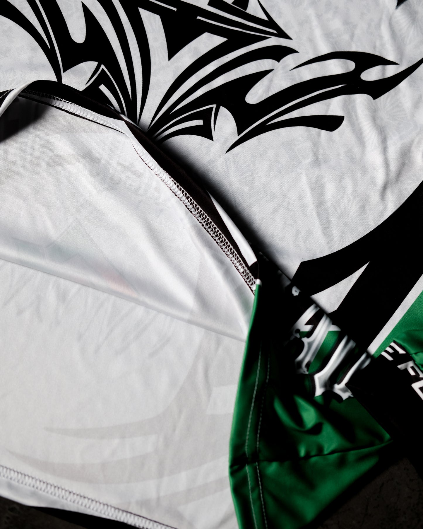 Team Mexico Long Sleeve