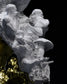 Charles Oliveira Sculpture: Illuminado Edition (47 Piece Limited)
