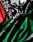 Team Mexico Long Sleeve
